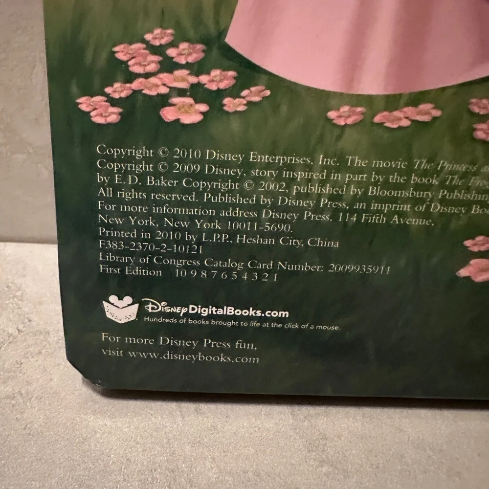 Disney experience magic